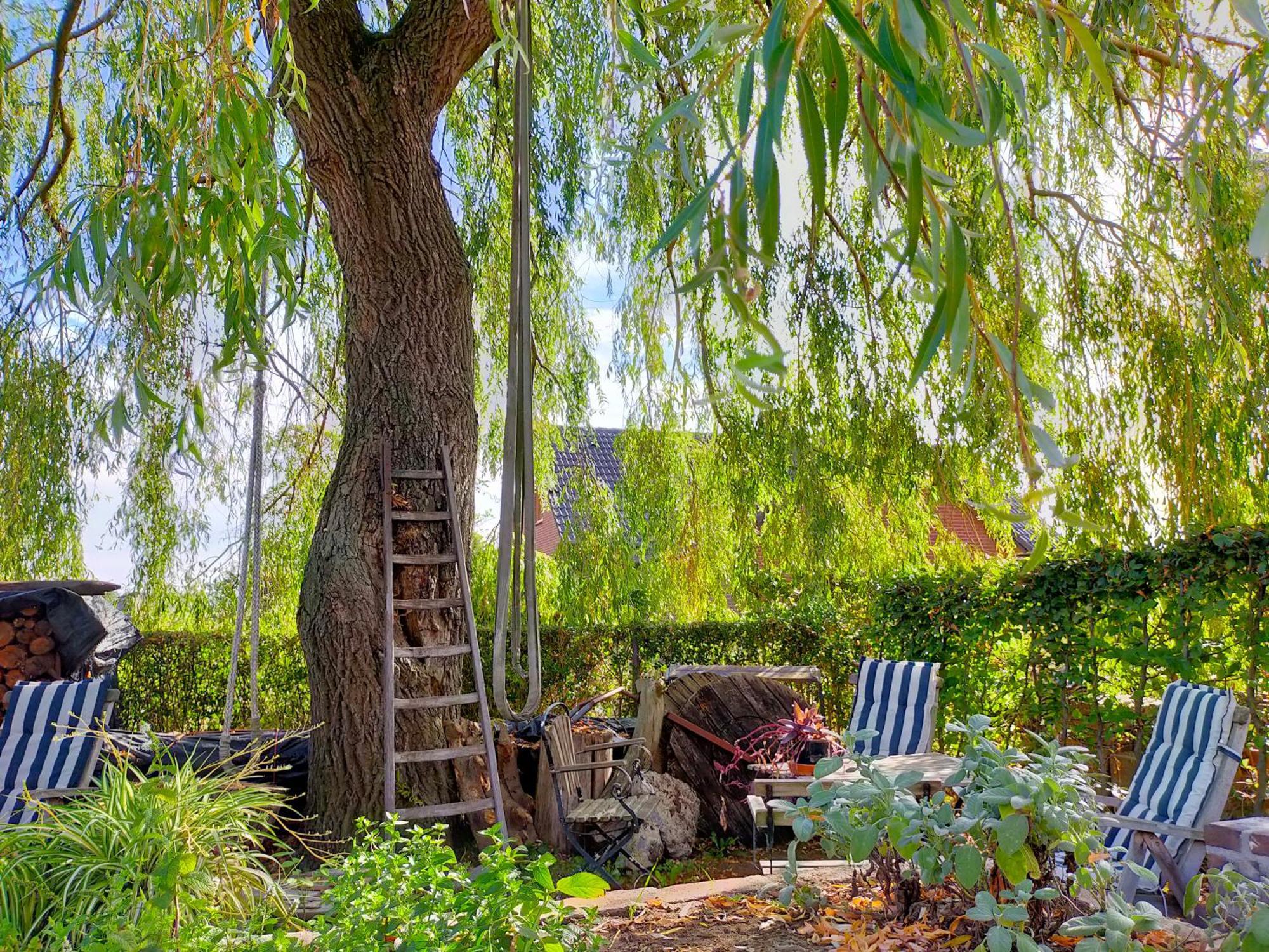Bed and Breakfast Aan De Molenberg Broekhuizen  Zewnętrze zdjęcie