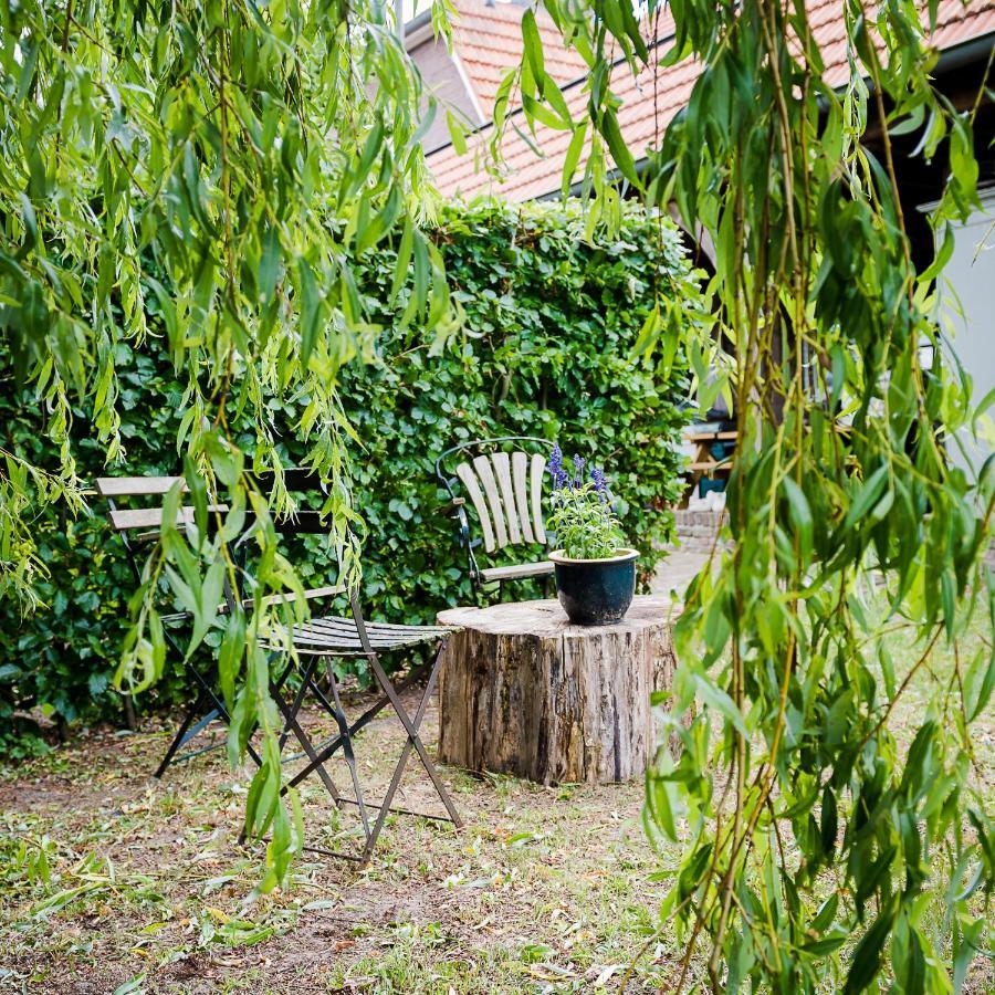 Bed and Breakfast Aan De Molenberg Broekhuizen  Zewnętrze zdjęcie