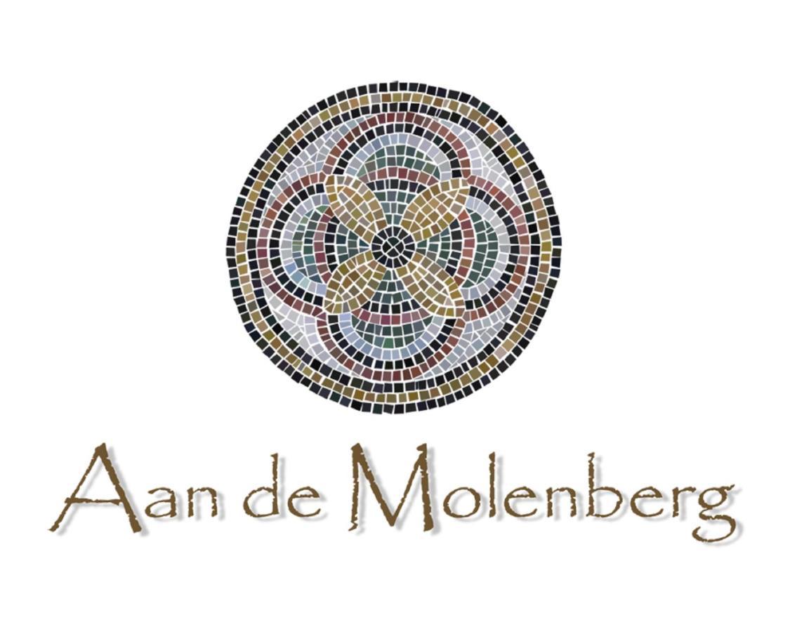 Bed and Breakfast Aan De Molenberg Broekhuizen  Zewnętrze zdjęcie